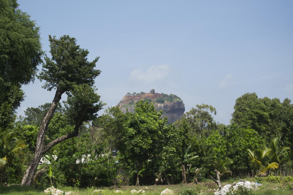 Shady Mango Villa Sigiriya Exterior photo